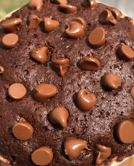 188 cal chocolate mug cake