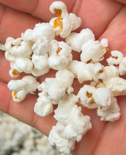 Air Fryer Lemon Pepper Truffle Popcorn
