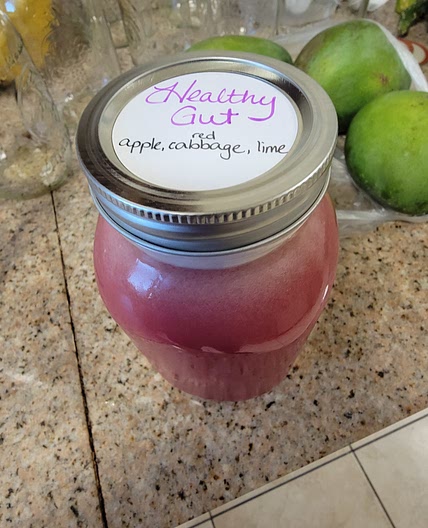 Healthy Gut