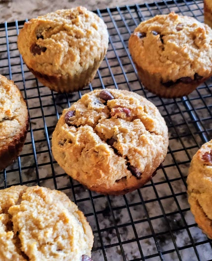 Glute-free banana bread chocolate chip muffins