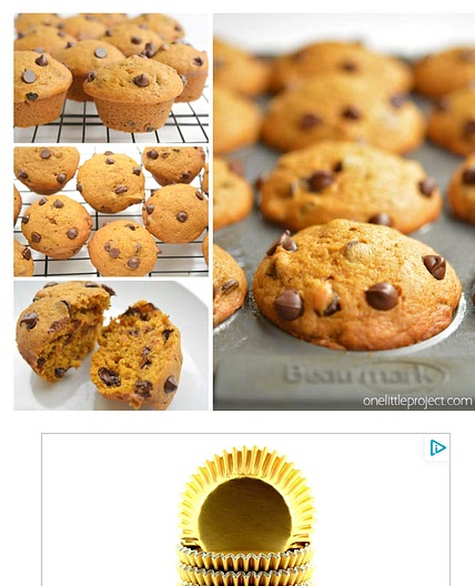 Chocolate chip pumpkin muffins