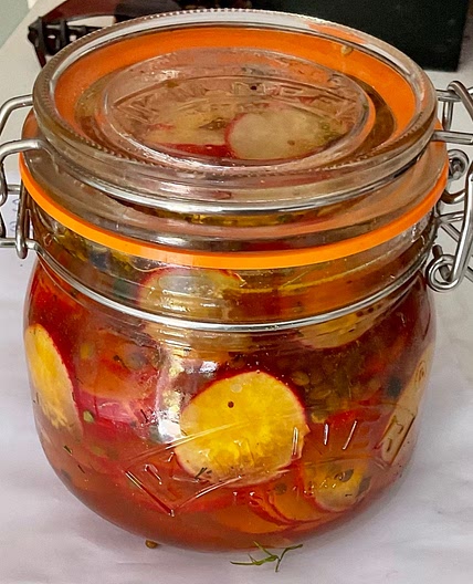 Spiced Garlic and Dill Pickled Radish