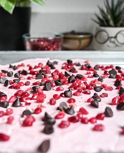 Dark Chocolate Pomegranate Frozen Yogurt Bark