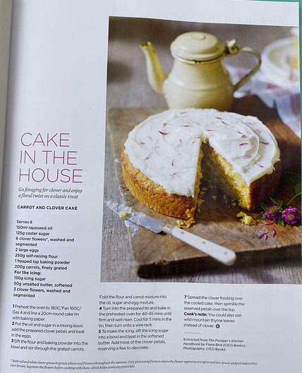 Carrot and clover cake