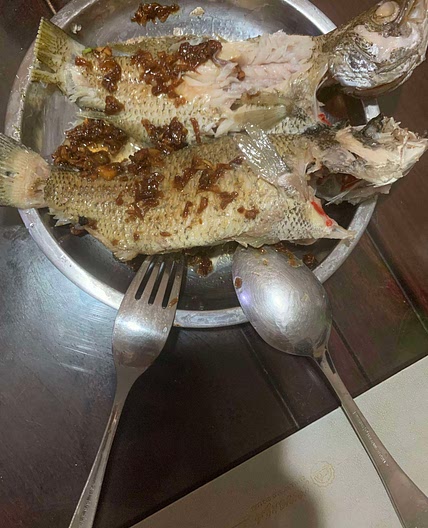 Steamed fish w garlic sauce 