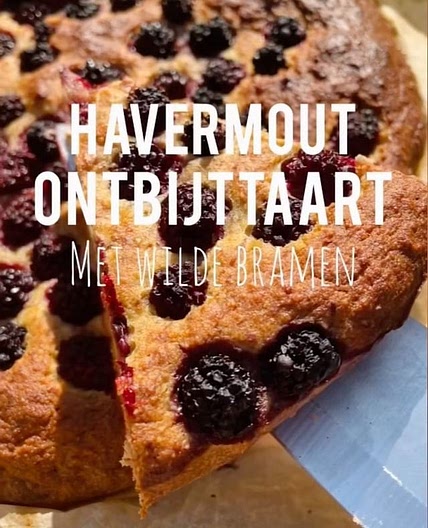 HAVERMOUT ONTBIJTTAART MET WILDE BRAMEN 🥧 (Glutenvrij)