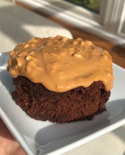 233cal Reeses cup mug cake. 20g protein