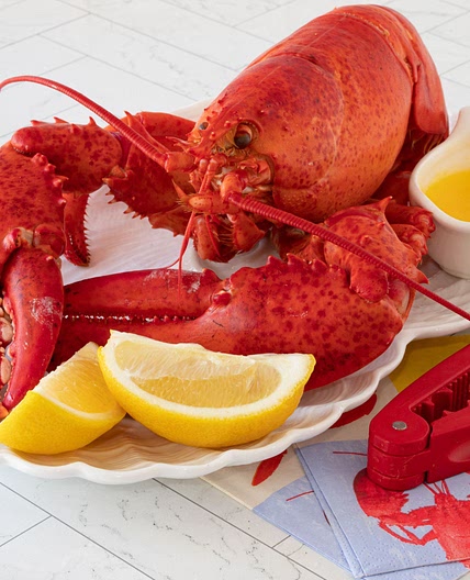 Nova Scotia Creamed Lobster