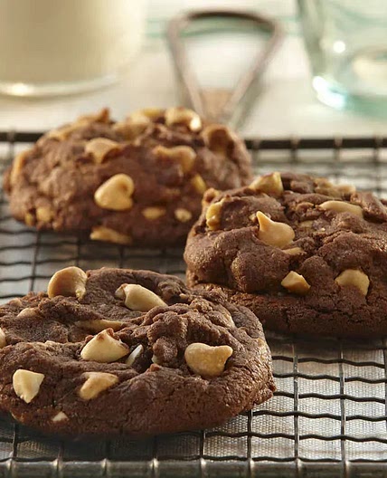 Chocolate Peanut Butter Cookies
