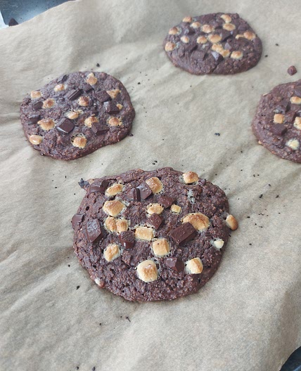 252kcal - Oatmeal cookies - 15P 21C 11F