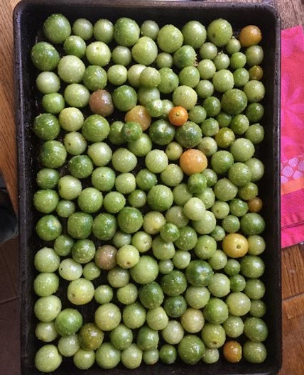 Roasted Green Tomatoes
