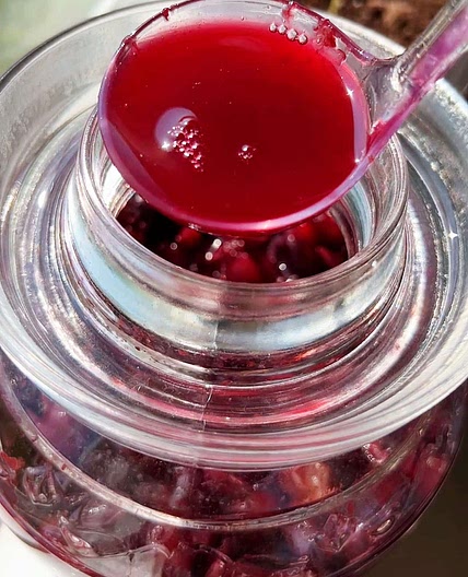 Homemade Grape Wine Recipe - 2 ingredients