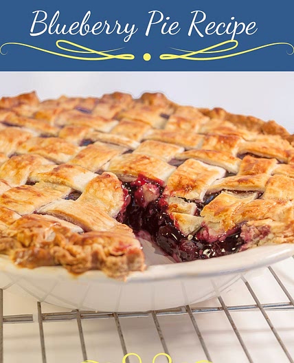 Easy Homemade Blueberry Pie Recipe