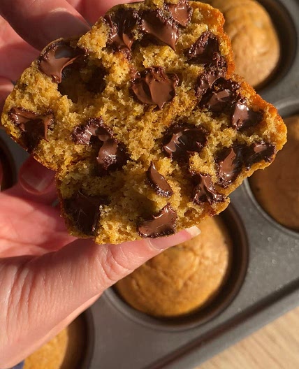 Chocolate Chip Pumpkin Muffins