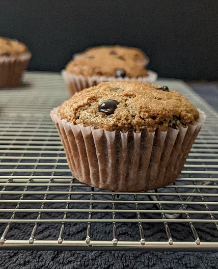 Chocolate Protein Muffins