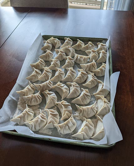 Pork and shrimp dumplings with chinese chives