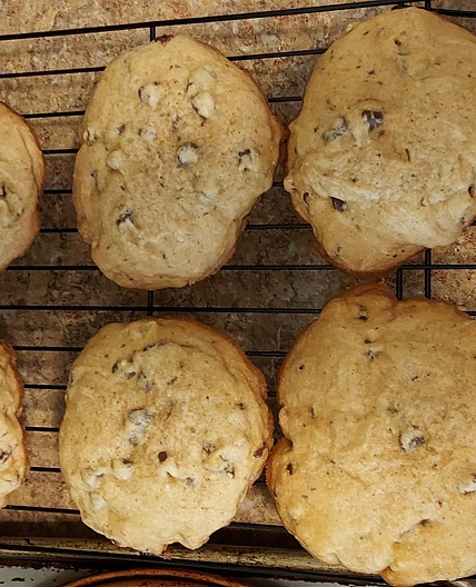 Best Big, Fat, Chewy Chocolate Chip Cookie