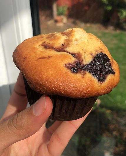 96 cal blueberry muffins