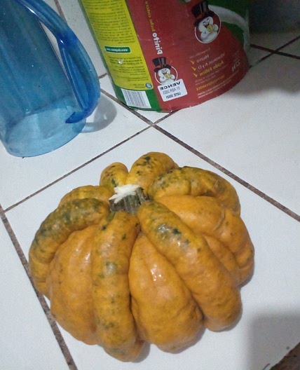 Güicoy (calabaza) en leche
