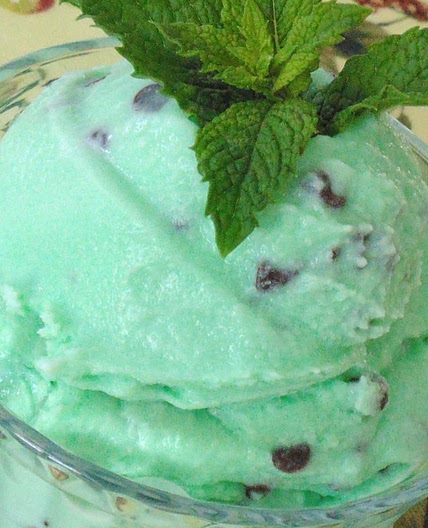 Easy Mint Chocolate Chip Ice Cream
