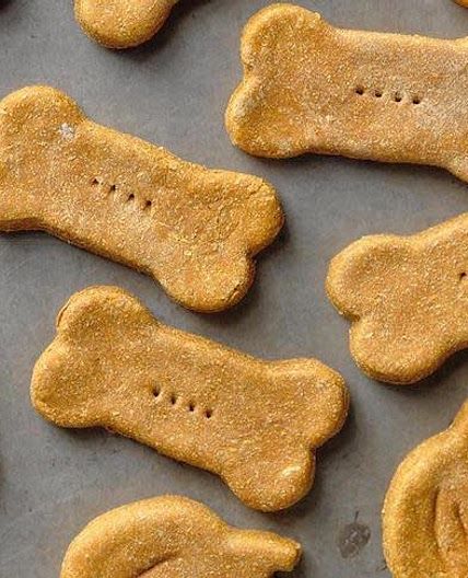 Peanut Butter and Pumpkin Dog Treats