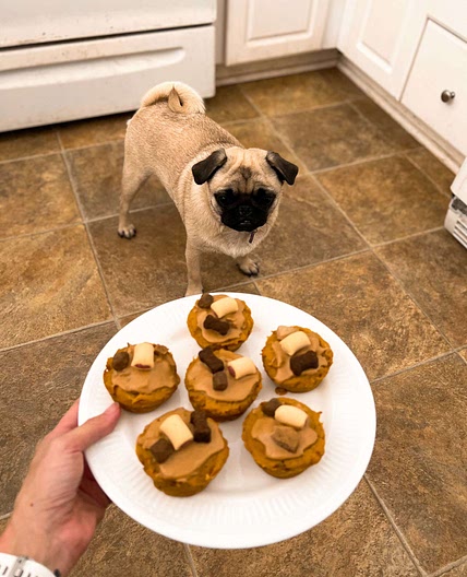 Bee's Pupcakes (Dog Cupcakes)