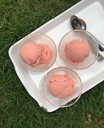 2- Ingredient Watermelon Sherbet