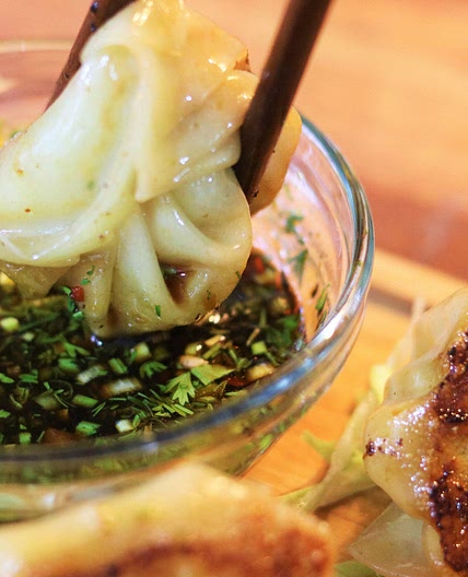 Beef Potstickers