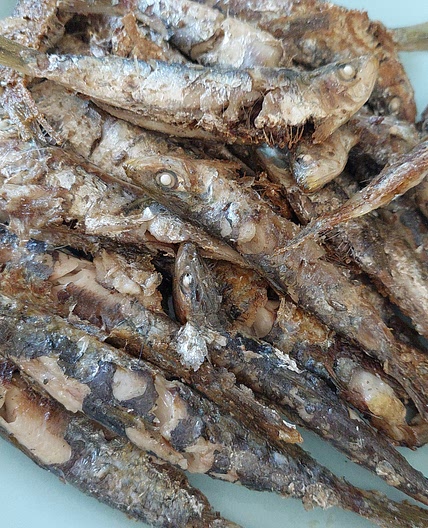 Sardinas con picadillo