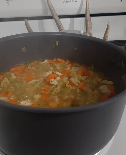 Company's Coming Chicken Noodle Soup