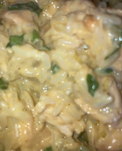 Creamy Dog Bowl