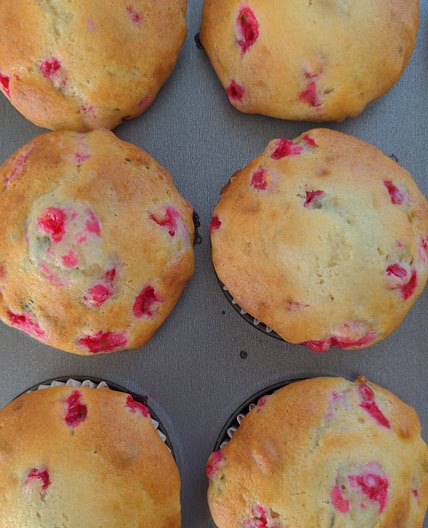 Muffins aux gadelles et aux noix