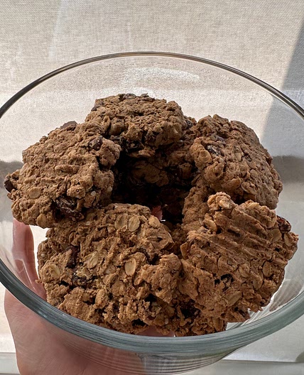 Oatmeal raisin chocolate chip protein cookies