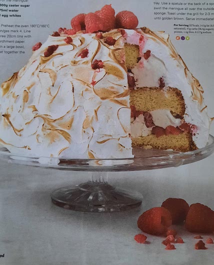 Baked alaska