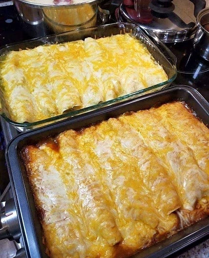 Cream Cheese Chicken Enchiladas 