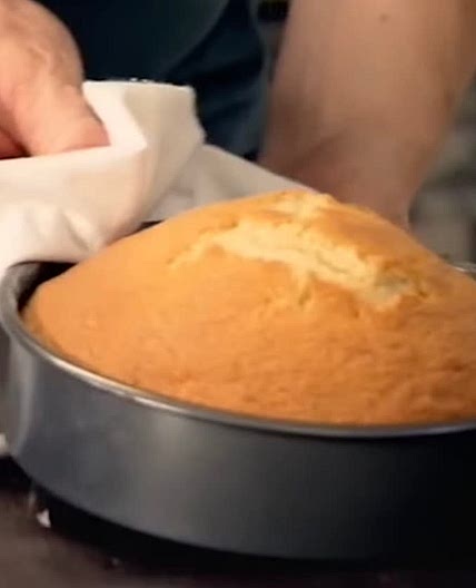 Sponge cake for torts