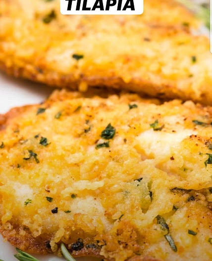Parmesan Tilapia