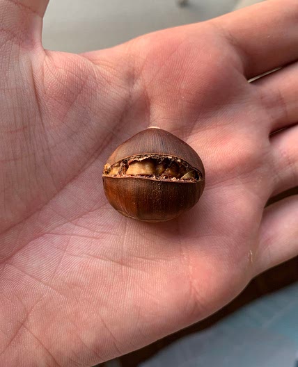 Oven Baked Chestnuts