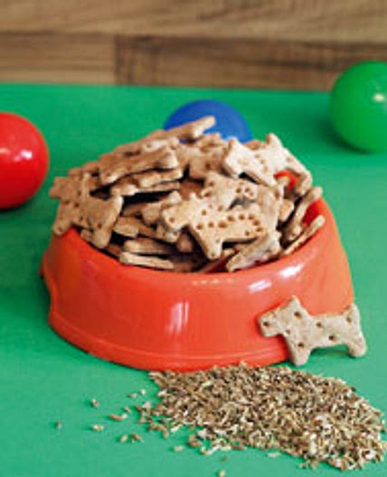 🐶Recipes for Dogs: Allergen-Free Dog Treats