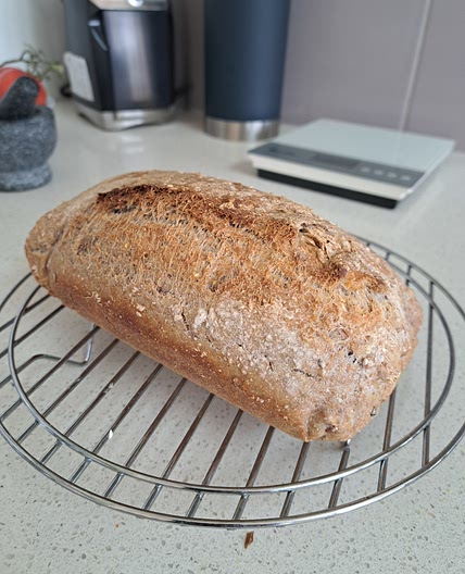 Bread: don't knead to need