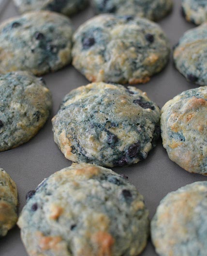 Wild Blueberry Muffins