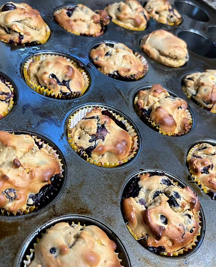 Protein Lemon Blueberry Muffins