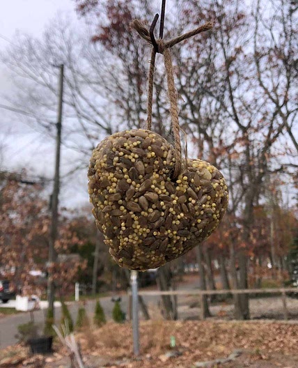 Birdseed Balls