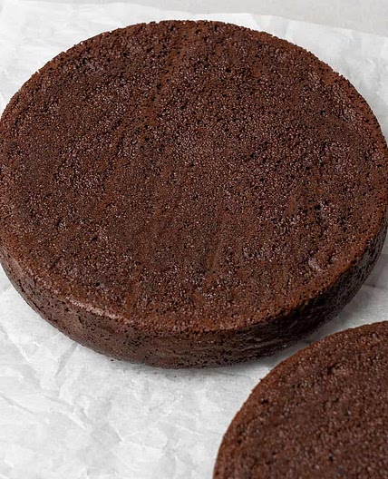 The BEST Chocolate Sponge Cake (VIDEO)