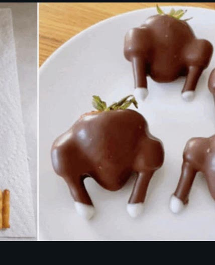 Chocolate Strawberry Turkey’s