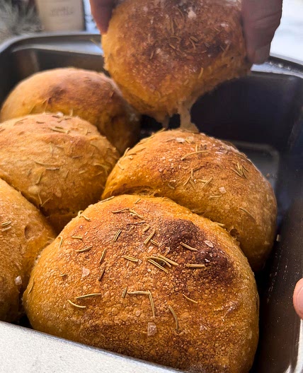 Soft Pumpkin Sourdough Rolls