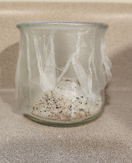 Home Seasoning