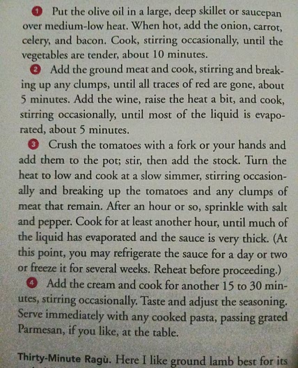 Spaghetti sauce