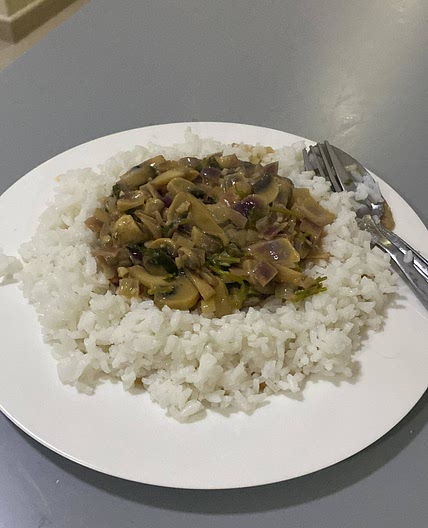 Mushroom stroganoff 