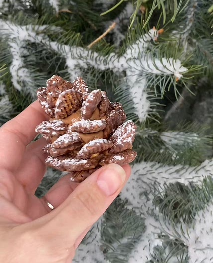 WIC Approved Pinecone Cookies